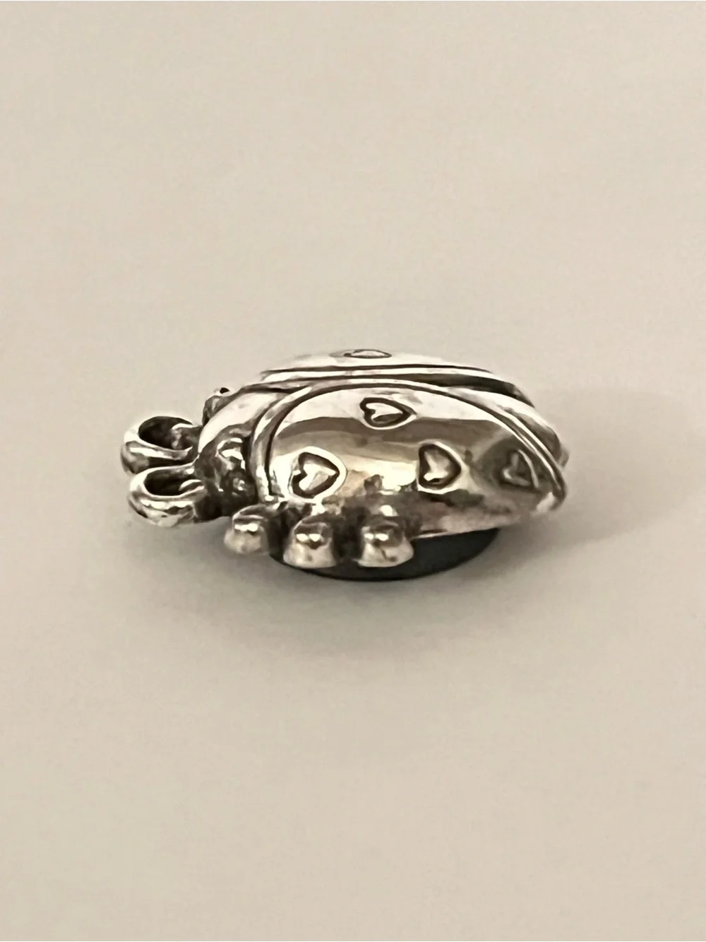 Brighton Ladybug Magnet